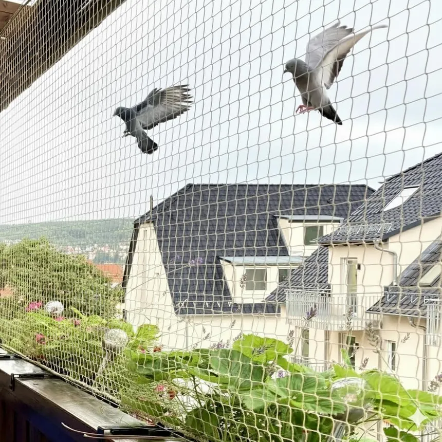 Pigeon safety net installation