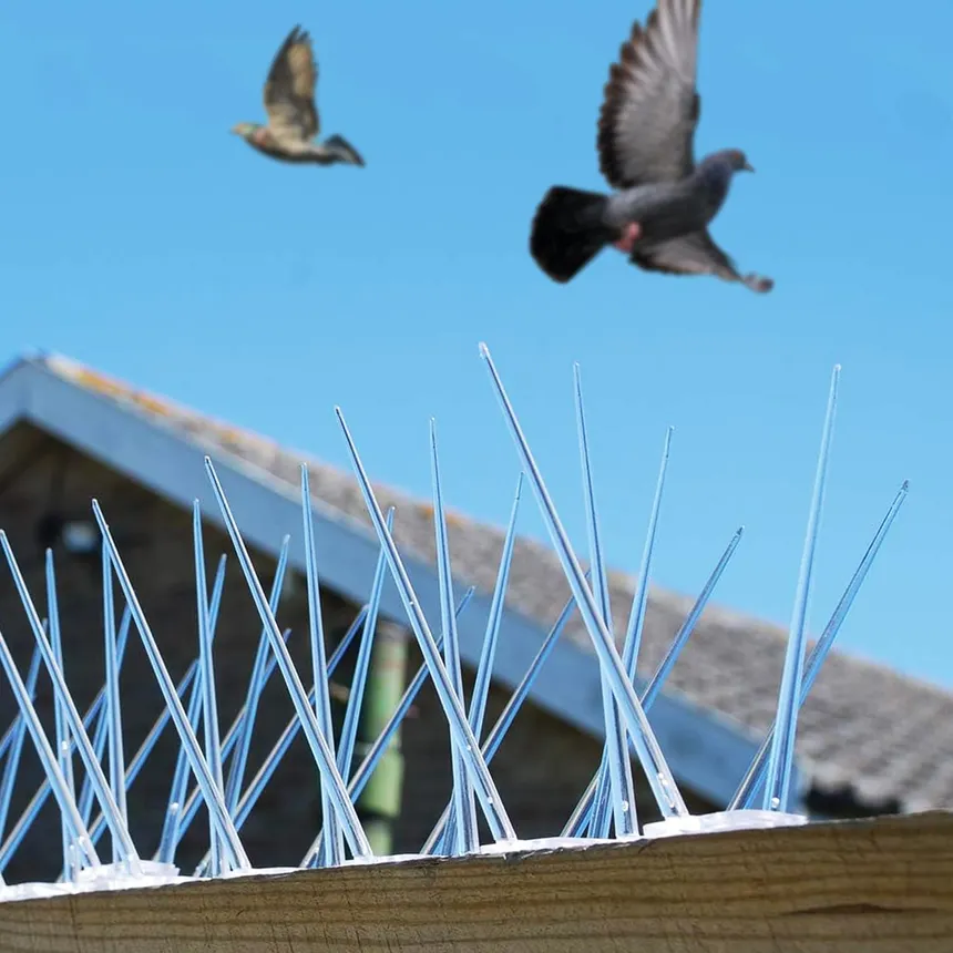 Bird spikes installed on building ledge